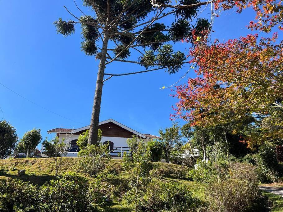 Casa Da Vovo Em *